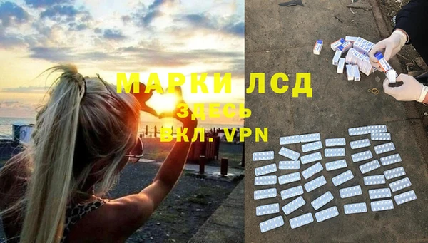 ECSTASY Алзамай