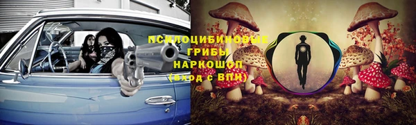 ECSTASY Алзамай